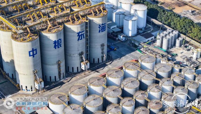 中糧東海糧油15萬(wàn)噸筒倉(cāng)項(xiàng)目竣工投用，開(kāi)啟糧油倉(cāng)儲(chǔ)新篇章