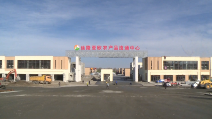 完成到位資金近70億元！1-10月奎屯市招商引資成效顯著，糧油倉(cāng)儲(chǔ)服務(wù)產(chǎn)業(yè)引關(guān)注