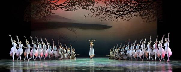 【上海】《朱鹮》歸來&ldquo;水晶宮&rdquo;,&ldquo;吉祥之鳥&rdquo;性靈起舞