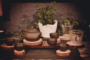 青春答卷2014——畢業(yè)設(shè)計《禪夢》 原創(chuàng)品牌衍生產(chǎn)品圖書出租計劃